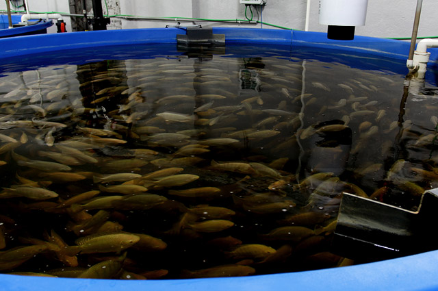 subindustries.HeroMobileImage.Alt